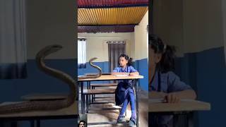 जादूई toody funny dolibanku sisirviralvideo🤓🤓 [upl. by Anidan5]