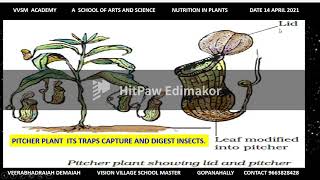 BOTANY CARNIVOROUS PLANTS [upl. by Viviane]