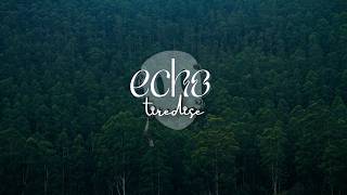 tiredise  echo lyric video [upl. by Chilt]