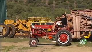 Tractores antiguos de colección Asociación Andaluza de Amigos del Tractor Agrícola [upl. by Aggappera]