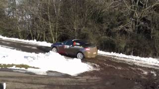 PfalzWestrich Rallye 2013 HD [upl. by Olocin]