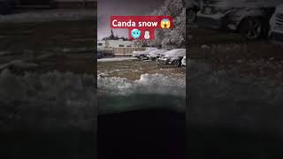 Canada 🌨️❄️❄️❄️❄️😱😱😱viralvideo ytshorts brother [upl. by Irehj]