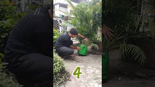 Magical homemade fertilizers  झूम उठेंगे पौधे बस ये जादूई चीजें डाल दो🥛🌿shorts viral gardening [upl. by Ralat]