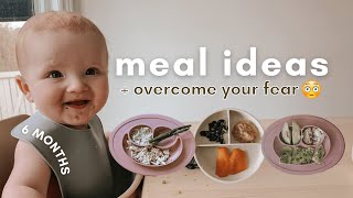 How to Start Baby Led Weaning at 6 Months  BLW Meals  6 Month Baby Update [upl. by Clotilde]