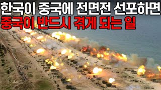 중국이 한국에 전쟁선포하면 20분 내로 겪게 되는 일벌집의 현실화 [upl. by Cruce]