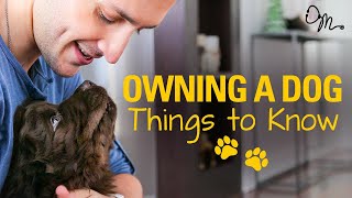 OWNING A DOG  Things to Know Before Getting a Puppy  Doctor Mike [upl. by Arenahs]