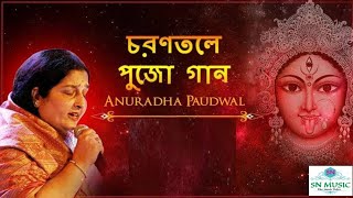 Ami montro tontro  Anuradha Paudwal [upl. by Collar803]