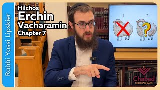 Rambam Hilchos Erchin Vacharamin Chapter 7 • Rabbi Yossi Lipskier [upl. by Fanchon]