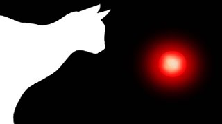 CAT GAMES  LASER CHASER FOR CATS ONLY [upl. by Groot]