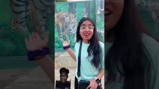 Watch Full Vlog of Jungle Safari 😍 youtubeshorts short [upl. by Rimidalv265]