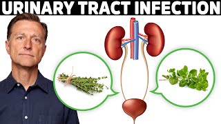 1 Best Remedy for a UTI Urinary Tract Infection [upl. by Shifrah703]