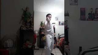 ataques Directos E Indirectos De Karate Do Parte 1 [upl. by Marley462]