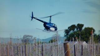 Robinson R44 Helicopter Aerial Spraying New Zealand Near Powerlines [upl. by Towbin]