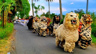 Asmr Lion dance and drumband parade in the village of mengok [upl. by Ezra]