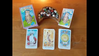 Cat Tarot  Flip Through amp Comparison to a RiderWaite Deck [upl. by Rehpotsyrhc240]