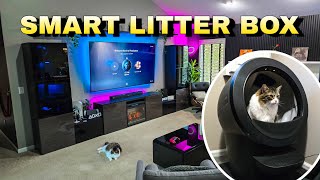 ONE YEAR REVIEW of LitterRobot 4 by Whisker 🐈🎮  SAVES US SO MUCH TIME [upl. by Feucht]