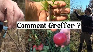 Comment greffer facilement les arbres fruitiers  mois par mois [upl. by Butterworth]