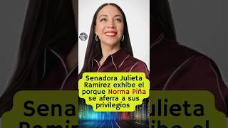 Senadora Julieta Ramirez exhibe el gran negocio de jueces y ministros corruptos 😱 [upl. by Isidro]