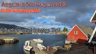 Angeln in Norwegen 2023 Bakkevik Brygge AS Vierter und letzterTeil [upl. by Trici]