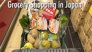 Summary of November shopping trips in Japan of a foreign housewife [upl. by Mahseh]