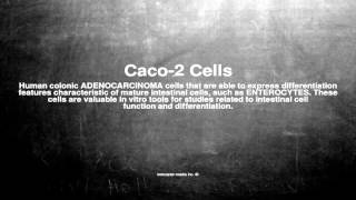 Medical vocabulary What does Caco2 Cells mean [upl. by Inaja]