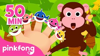 Famille Doigt de Requins et Singes  Comptines  Pinkfong Baby Shark  Chansons pour Enfants [upl. by Anjela]