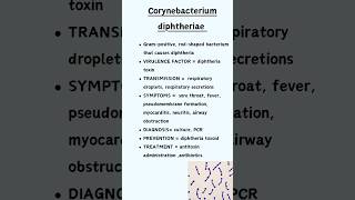 Corynebacterium diphtheriae [upl. by Elliot525]