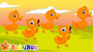 Five Little Ducks  Newborn Colorful Ducks Nursery Songs [upl. by Alamac]