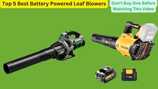 Best Battery Powered Leaf Blowers 2024 Dont Buy One Before Watching This Video [upl. by Noguchi]