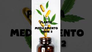 PARTE 2 A fitoterapia usa substâncias naturais de plantas para criar medicamentos [upl. by Phyllida]