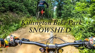 Killington Bike Parks SNOWSHED 4K  MTB 2020 [upl. by Elodie]