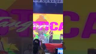 Jyotica tangri live performance music song love [upl. by Ylenaj]