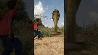 Snake enconda shorts trending videoAnaconda Snake in real life P285shorts snake anaconda [upl. by Agrippina]