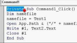 How to make your program in Visual Basic save a txt file [upl. by Nerak915]