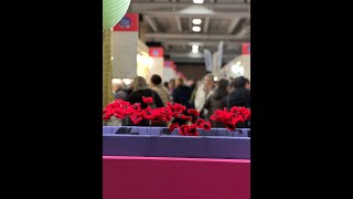 Visite du Salon Aiguille en Fête  Paris 2023 [upl. by Airetnahs]