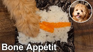 Chef Puppy Making Sushi  Cavapoo [upl. by Etakyram]