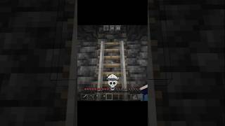 Minecraft rail became ladder shorts [upl. by Cai702]