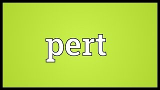 Pert Meaning [upl. by Milo]