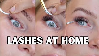 how to apply lash clusters for beginners  tips [upl. by Amalbena]