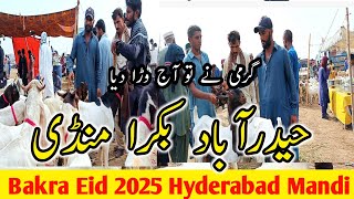 Live Logon Say Bat kar Ka mza agya Bakra Mandi Hyderabad  Latest updates [upl. by Jenette]