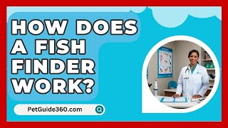 How Does A Fish Finder Work  PetGuide360com [upl. by Budde863]