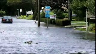 2011 Vintage video Irene flooding in Elmwood Park NJ Rerelease [upl. by Ceil555]