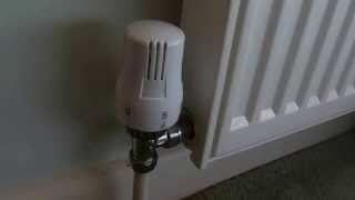 How to fix a thermostatic radiator valve if your radiator is not heating up [upl. by Smiga827]