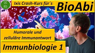 Immunbiologie 1 Humorale  zelluläre Immunantwort  Anwendungsaufgaben analysiert  Fit für´s BioAbi [upl. by Eatton255]