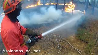 🔥 Bombeiros Portugueses em Ação no Incêndio em Vilarinhos 🔥 [upl. by Hayley]