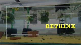 Rethinking the method of shrimp keeping [upl. by Ettereve365]