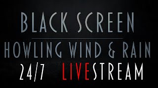 Black Screen Howling Wind amp Rain amp Thunder  LiveStream 247 [upl. by Garceau]