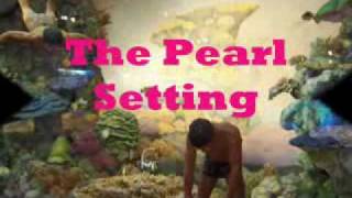 The Pearl  Setting [upl. by Christos]