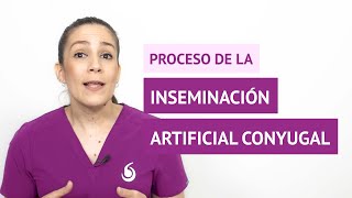 ¿Cómo es el proceso de la inseminación artificial conyugal IAC [upl. by Erotavlas]