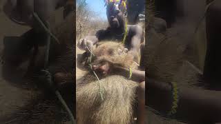 Hadza love to catch a baboon hunting hadza shortvideo [upl. by Noach187]